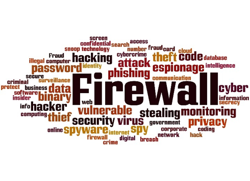 Top Firewall Companies in India
